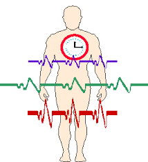 Managing your brain, part 4