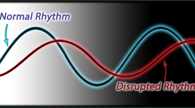 To maximize efficiency, get in sync with your body’s rhythm.