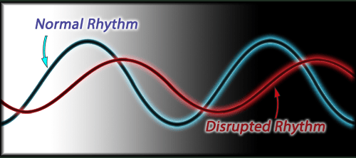 To maximize efficiency, get in sync with your body’s rhythm.