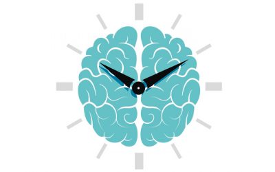 How your circadian rhythm works